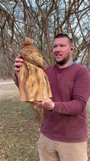 Carved a little owl today. #chainsawcarving #owls #art #animals