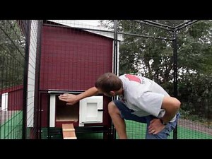 Walk-in 15 Ft. Chicken Run | OverEZ Chicken Coop