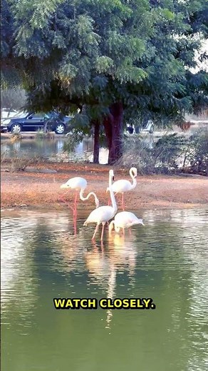 Utopia By 2050 | The Future Of Renewable Energy And AI