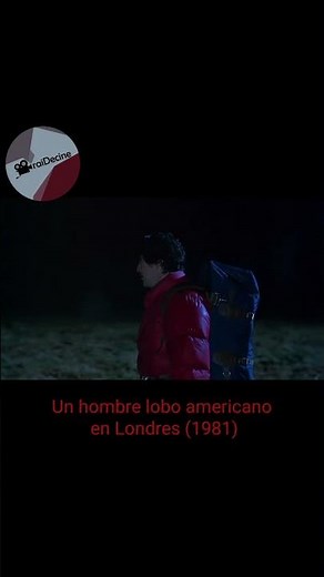 Un hombre lobo americano en Londres (1981) #terror #hombreslobo
