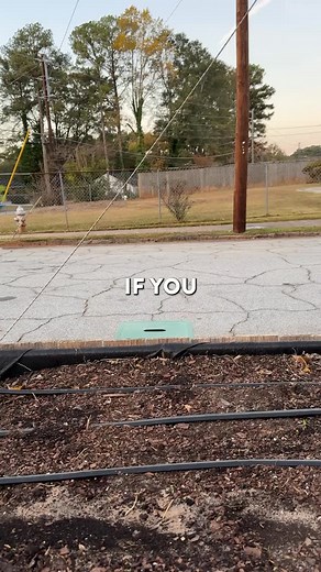 Fall is the perfect time to grow broccoli in the southeast. Here’s how I planted my broccoli plants in my raised bed garden. | ATL Grow