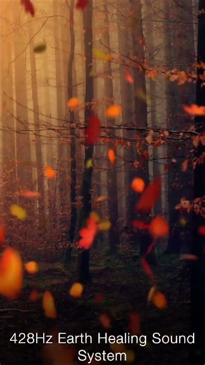 Find Comfort: 1-Minute Relaxing Session for UTI Support