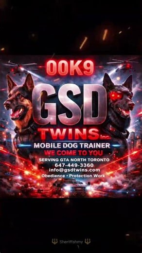 mobile dog trainer Toronto GTA Canada we come to you