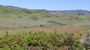 BLM purchases land in western Idaho to preserve grouse habitat