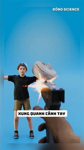 How many layers of plaster cast are needed to block a bullet? 💥🤕