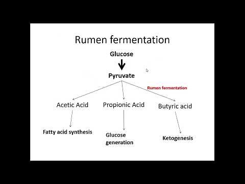 Volatile fatty acids