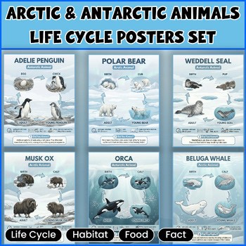 All About Polar Region Animals: Arctic & Antarctic Animals Life Cycle Posters
