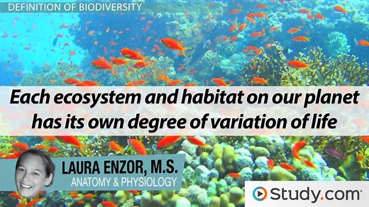 Ecosystems of Oceans and Freshwater: Biological Diversity and Water