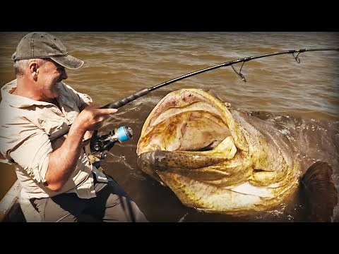 FIGHT WITH THIS 90-KILOS GOLIATH - Cyril Chauquet