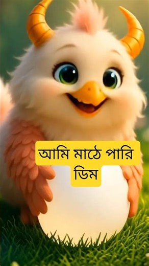 হাট্টি মাটিম্ টিম্ নতুন 🧡।