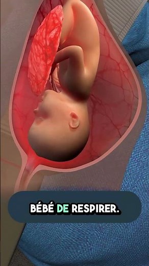 🤰🚗 Bien attacher sa ceinture pendant la grossesse : protégez bébé et vous ! 💖🛡️