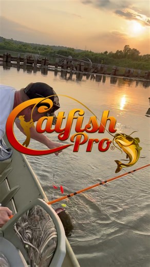 At Catfish Pro, we build products that everyday anglers want to use! Stop overpaying and experience the difference today at catfishpro.com! #catfishpro | Catfish PRO