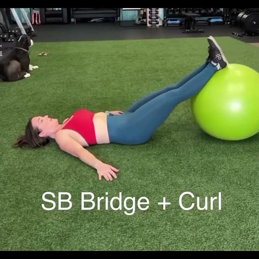 Baker,s Cysts Exercises