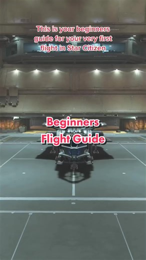 Star Citizen Beginners Flight Guide
