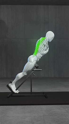 Build a Strong Lower Back 🔥 | Erector Spinae Exercises for Stability & Posture