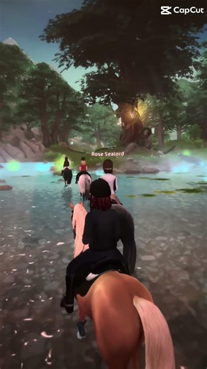 Went on a hack in sso with some random people lol it rad to fun!