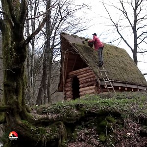 Incredible Contraction log house in the forest Part 2. | Backwoods Beacon