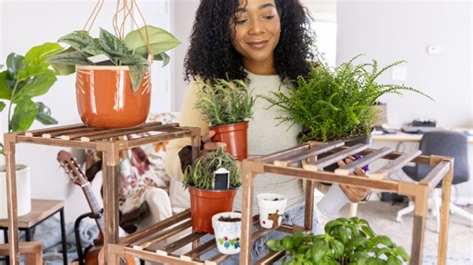 Try an easy hack to turn Dollar Tree's stackable planter into a hanging garden