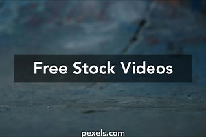 Free Pest Control Videos, Download The BEST Free 4k Stock Video Footage & Free Pest Control HD Video Clips