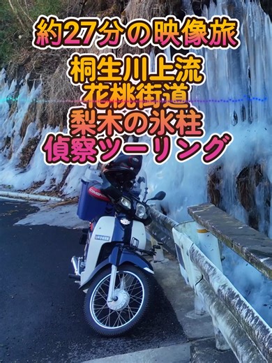 27分動画【偵察編～ローカル花道ルート情報】群馬県桐生市・みどり市一周。3月中旬〜下旬に人気の「花桃街道」「屋敷山ミツマタ群生地」「水沼駅河津桜」を巡る。林道を繋いで走る春の約70キロツーリングドライブルート #群馬県 #桐生市 #みどり市 #ツーリング #林道