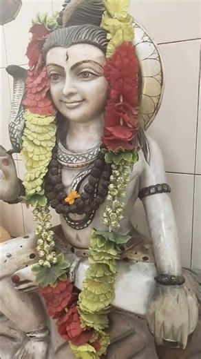 MERA DAMRU WALA MERA BHOLA MERA BHANDARI JAY BABA BHOLA #bholanath #bhole #kedarnath #nath #viral