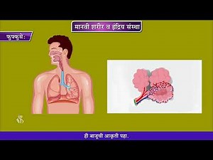 8th Science | Chapter#11 | Topic#03 | सांगा पाहू | Marathi Medium