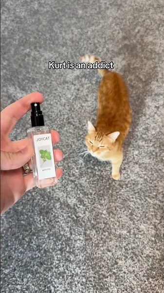 one spray is all it takes