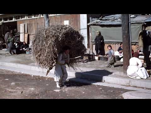 1950年頃の韓国の風景