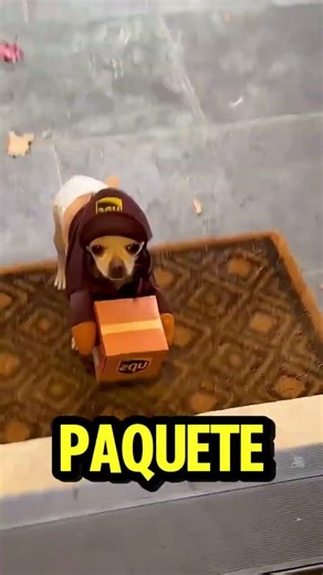 NO PEDI NINGUN PAQUETE 📦😱 #shorts