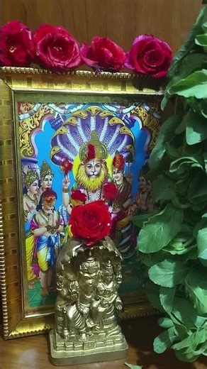 #dinamu yava dikkulo padukovali yavadikkulo success chuddamu #youtubeshorts #shortvideoviral