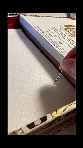 pin up some insects with me!! 🤗 #insects #entomology #art #drawing #cool #sketchbook