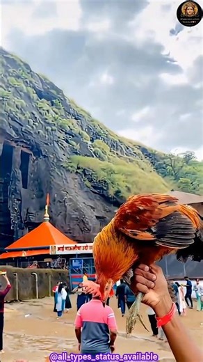 आई एकवीरा नवीन स्टेटस 🚩 | Ekvira Aai Status Remix 2026 | @all_types_status_available #shorts