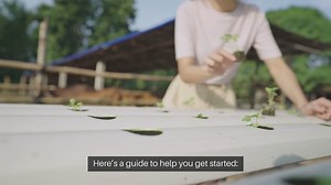 How To Start A Hydroponic Garden