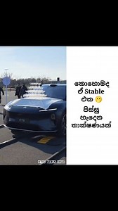 🫢 | The Media Home