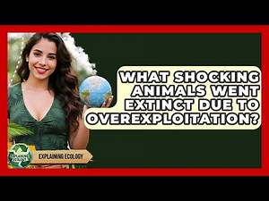 What Shocking Animals Went Extinct Due To Overexploitation? - Explaining Ecology