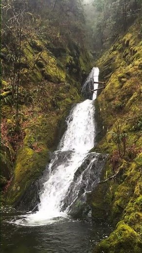 Hidden Blowdown Waterfall | Washington State | Taylor River | North Bend #nature #waterfall #moss