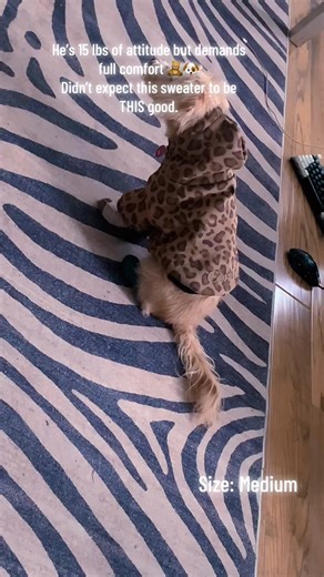 #TikTokShop #DogTok #DogMomLife #PetFinds #DogOutfits | Dog Sweaters