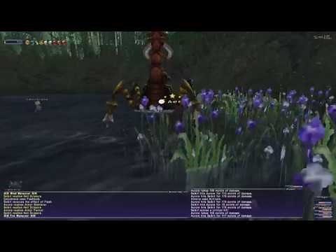 FFXI - PUP Guide『Automaton Skillchains』
