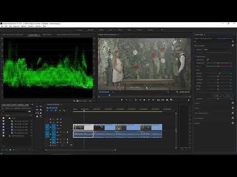 How to adjust contrast, shadows, and highlights Adobe Premiere Pro tutorials 1