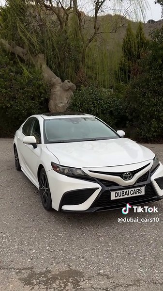 Exploring Dubai Cars: A Unique Perspective