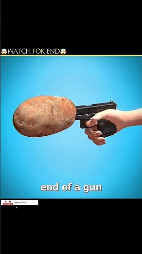Potato on a Gun? The Shocking Truth!