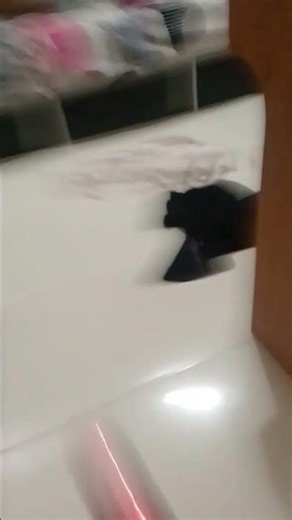 cola colay espuma🤑