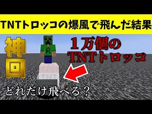 【マイクラ】TNTトロッコで飛ぶとすごい結果に... TNTトロッコの爆風でどれだけ高く飛べるのか？簡易的なTNTトロッコキャノンで検証してみた【検証】