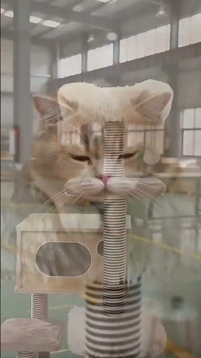 Heavy-duty stable cat tree for large & multi-cat households🔥 #cat