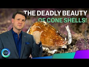 The Deadly Beauty of Cone Shells | Genesis Science Report - Kids Corner with David Rives
