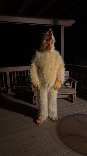 Halloween Chicken Costumes for Fun Celebrations