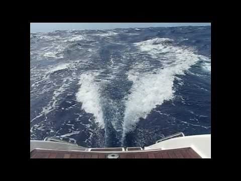 Big cat sailing in a gale-Awesome waves, and sail control.avi
