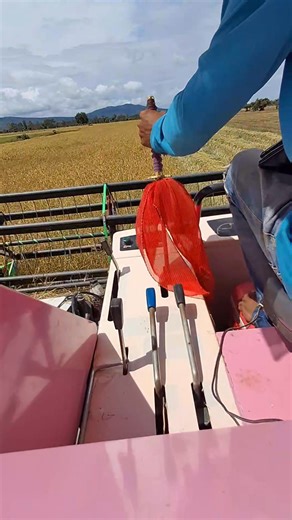 🌾🌾 | Kmeng Srea