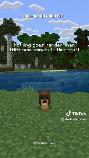 Explore the World of Naturalist Add-Ons in Minecraft!