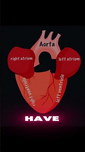 Learn the heart 🫀 structure in an easy way!